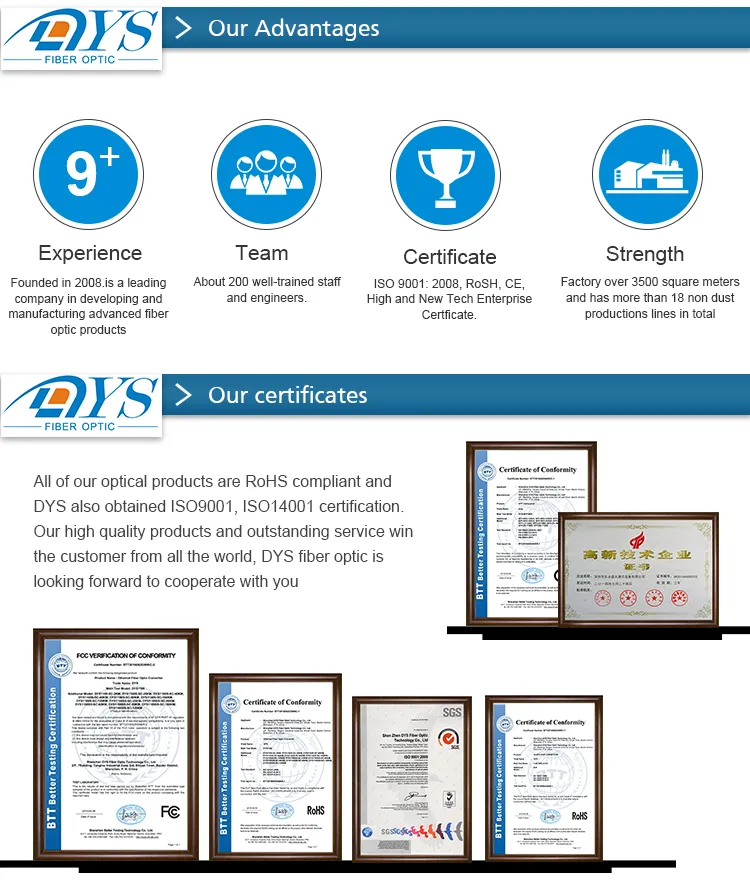 24core Aqua Om3 MPO-MPO Fiber Optic Patch Cord