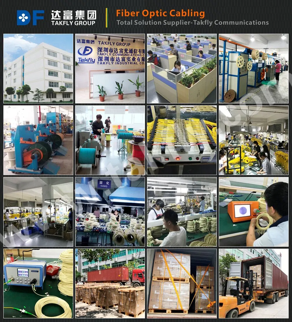 Customized 100g 41CH Low Loss DWDM System Equipment