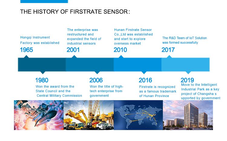 FST100-311 AS923 US915 EU433 CN470 EU868 Indoor Smart Home Lorawan IoT Gateway