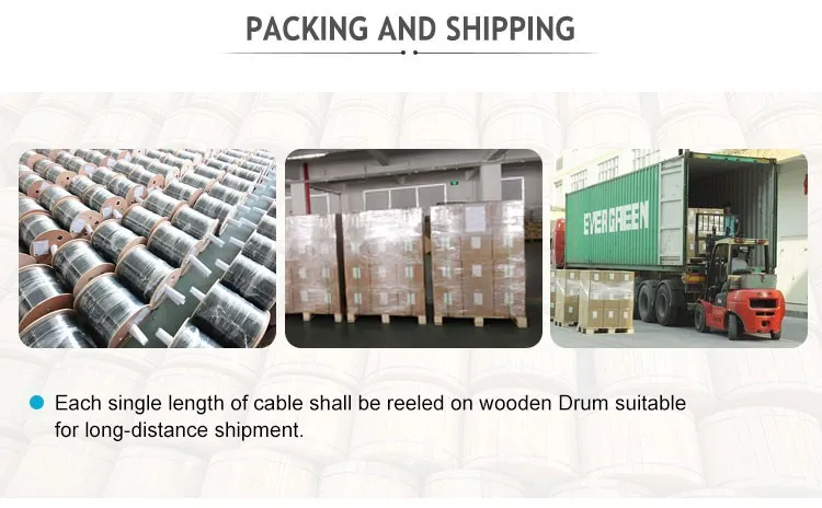 FTTH Drop Flat 1/2/4 Core G657A Fiber Opticalcable Manufacturers with Anatel Certificate